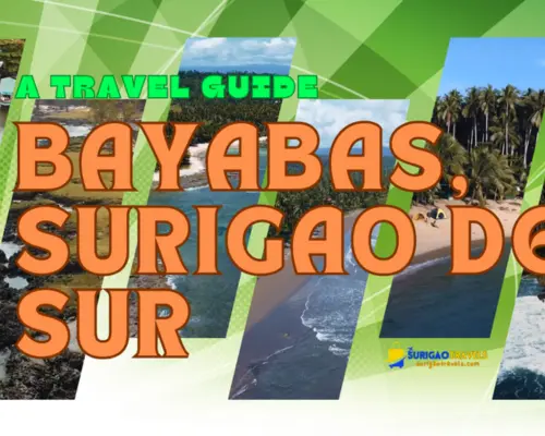 Bayabas Surigao del Sur (1)